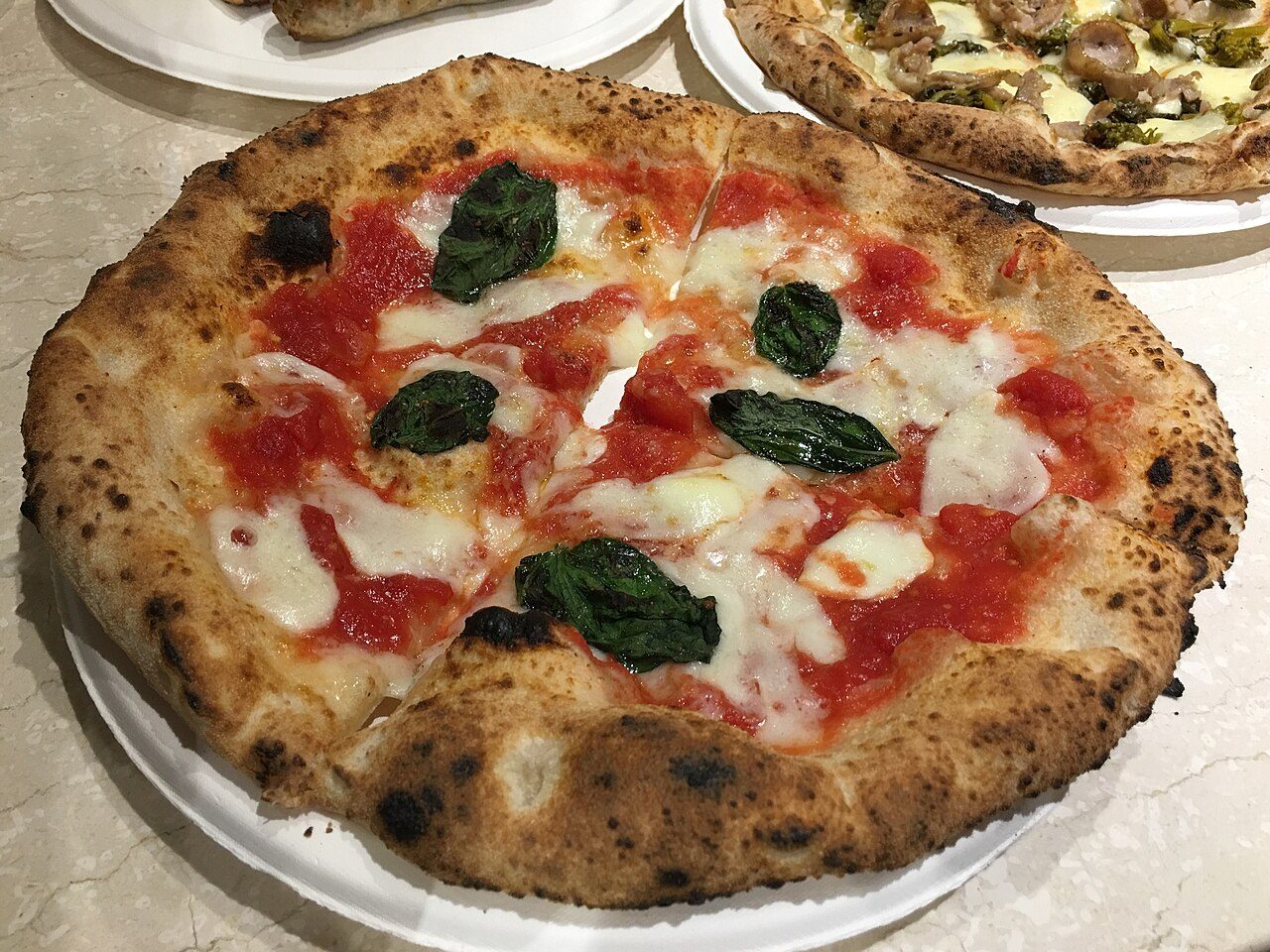 Pizza margherita napoletana con fiordilatte e basilico